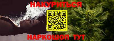 гидра Краснодар