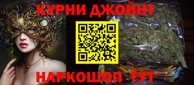 гидра Краснодар