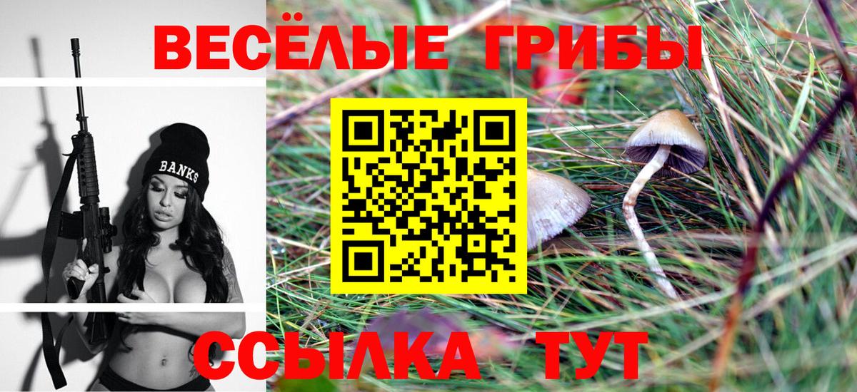 Псилоцибиновые грибы Psilocybe Корсаков